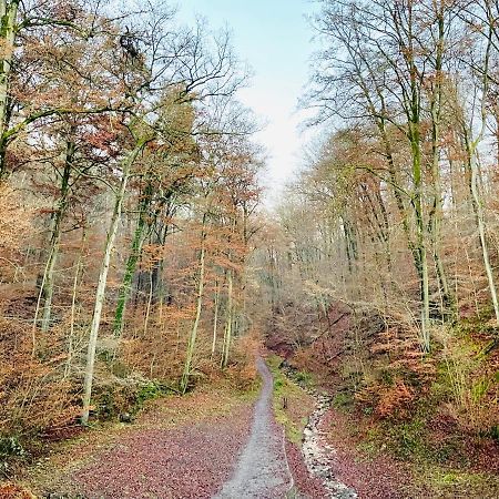 Frisch Renoviertes Und Charmantes Apartment Stuttgart Zewnętrze zdjęcie